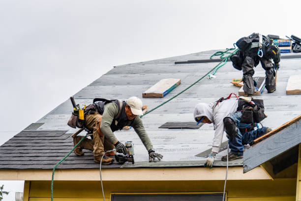 Professional Flat Roof Repair technician working in Wilkesville, OH
